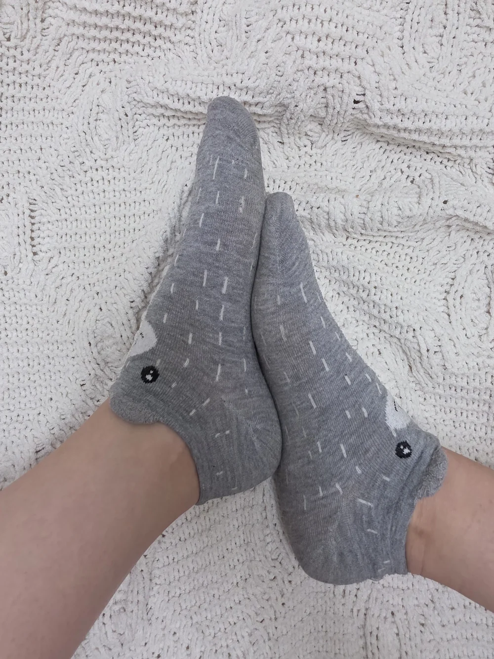 Cozy Grey Bear Ankle Socks WW